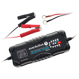 Ładowarka procesorowa 12V/24V everActive CBC-10 v2