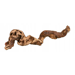 TRIXIE 5 Gałęzie Dla Gadów Terrarium 30-40cm 76169