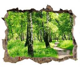 naklejka fototapeta 3D widok Brzozowy las