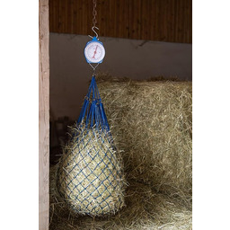 Szybka waga wskazująca 50 kg kolor niebieski