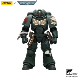 Joy Toy Warhammer 40k Dark Angels Intercessors Brother