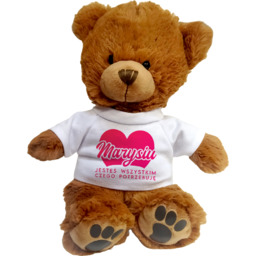 Jesteś wszystkim czego potrzebuję - pluszowy miś