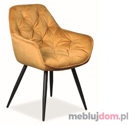 Krzesło CHERRY VELVET Signal Curry