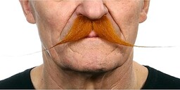 Viving Costumes 203923 Wąsy, wielokolorowe, jeden rozmiar