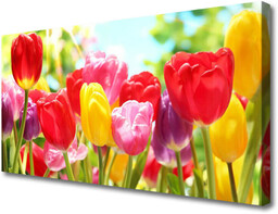 Obraz Canvas Tulipany Kwiaty Roślina