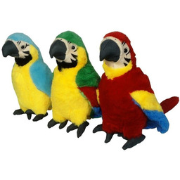 Papuga MIX