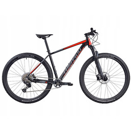 Rower górski Mtb Torpado Storm X8 M23 29