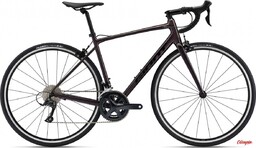Giant Rower Contend 1 Rosewood