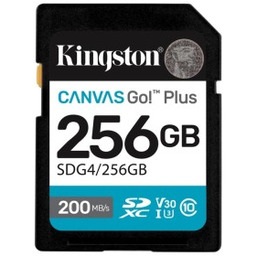 Kingston Karta pamięci Canvas Go Plus SDG4/256GB (256GB;