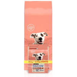 PURINA Dog Chow Adult Sensitive Salmon 16,5kg (14kg