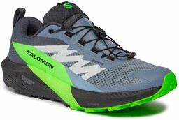Buty do biegania Salomon Sense Ride 5 GORE-TEX