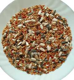 Avicentra Professional Średnia papuga - 20kg