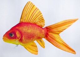 Maskotka Ryba Złota Rybka - 45cm
