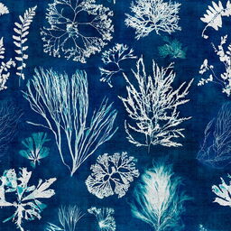 Tapeta MINDTHEGAP Atoll Algae Navy Blue WP20297