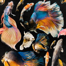 Tapeta MINDTHEGAP Atoll Goldfish Anthracite WP20301