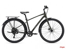 Giant Rower Cypress City 3 Phantom Green