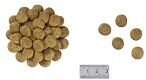 ROYAL CANIN Renal Special Canine 10kg