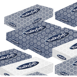 BULKYSOFT CLASSIC Chusteczki higieniczne celulozowe, 40 opakowań, 100