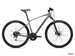 Giant Rower Roam Disc 3 Metal