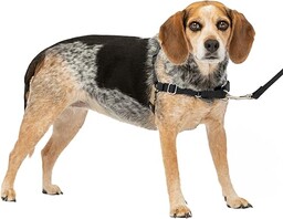 PetSafe Uprząż dla psa Easy Walk.