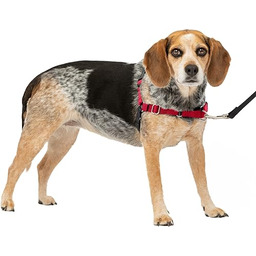PetSafe Uprząż dla psa Easy Walk