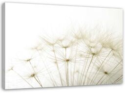 Obraz, Dmuchawiec z bliska 100x70