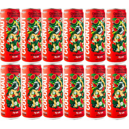 12x Woda kokosowa COCONAUT z sokiem arbuzowym 320