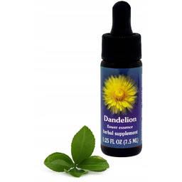 FES Dandelion 7,5 ml krople