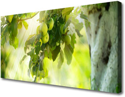 Obraz Canvas Jabłka Gałąź Drzewo Natura