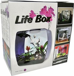 Lucky Reptile Lucky Reptile Life Box, nano terrarium