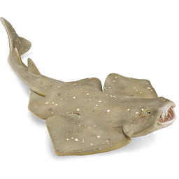 Collecta - Rekin Anioł - Figurka kolekcjonerska -
