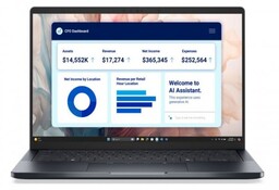 Dell Laptop Dell Pro 14 Premium PA14250 W11P