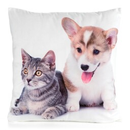 Eurofirany Poszewka dekoracyjna 45x45 Animal 70 Kotek