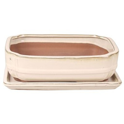 Donica szkliwiona Bonsai z podstawką 27,3 x 21