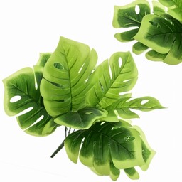 MONSTERA BUKIET LIŚCIE 35 CM