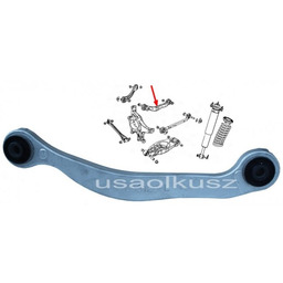 Wahacz tylny górny poprzeczny lewy - z tyłu