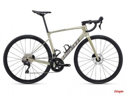 Giant Rower Defy Advanced 2