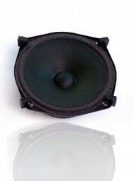 Tonsil Głośnik Średniotonowy Gdm 12/60/2 8 Ohm Czarny