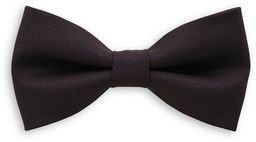 Fioletowa Elegancka Mucha -EM Mens Accessories- Męska,
