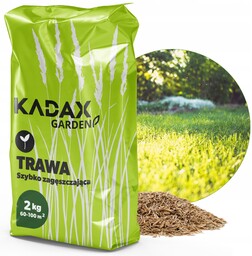 Trawa uniwersalna Riset szybko zagęszczająca 2 kg 100