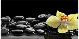 Foto obraz szkło hartowane Orchidea
