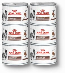 ROYAL CANIN Recovery 195g puszka