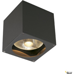 BIG THEO WALL lampa ścienna zewnętrzna QPAR111, IP44,