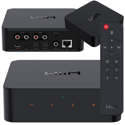 Wiim Pro Plus Odtwarzacz Sieciowy Bluetooth 5.1 Spotify