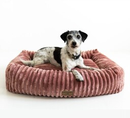 Legowisko dla Psa - BELLO Róż