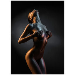 Obraz CANVAS SILVER 70 x 100 cm ST653