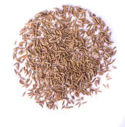 Kmin rzymski ziarno 1kg
