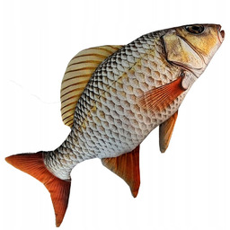 RYBY pluszak ryba zabawka poduszka Karaś - Realistyczna