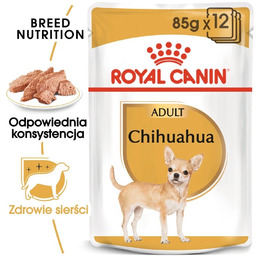 ROYAL CANIN Chihuahua Adult 12x85g