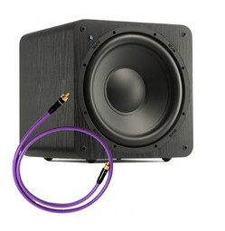 Svs SB-1000 Subwoofer aktywny 300W kabel 2m MDSW20